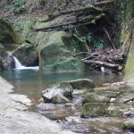 Le acque dell'Alento
