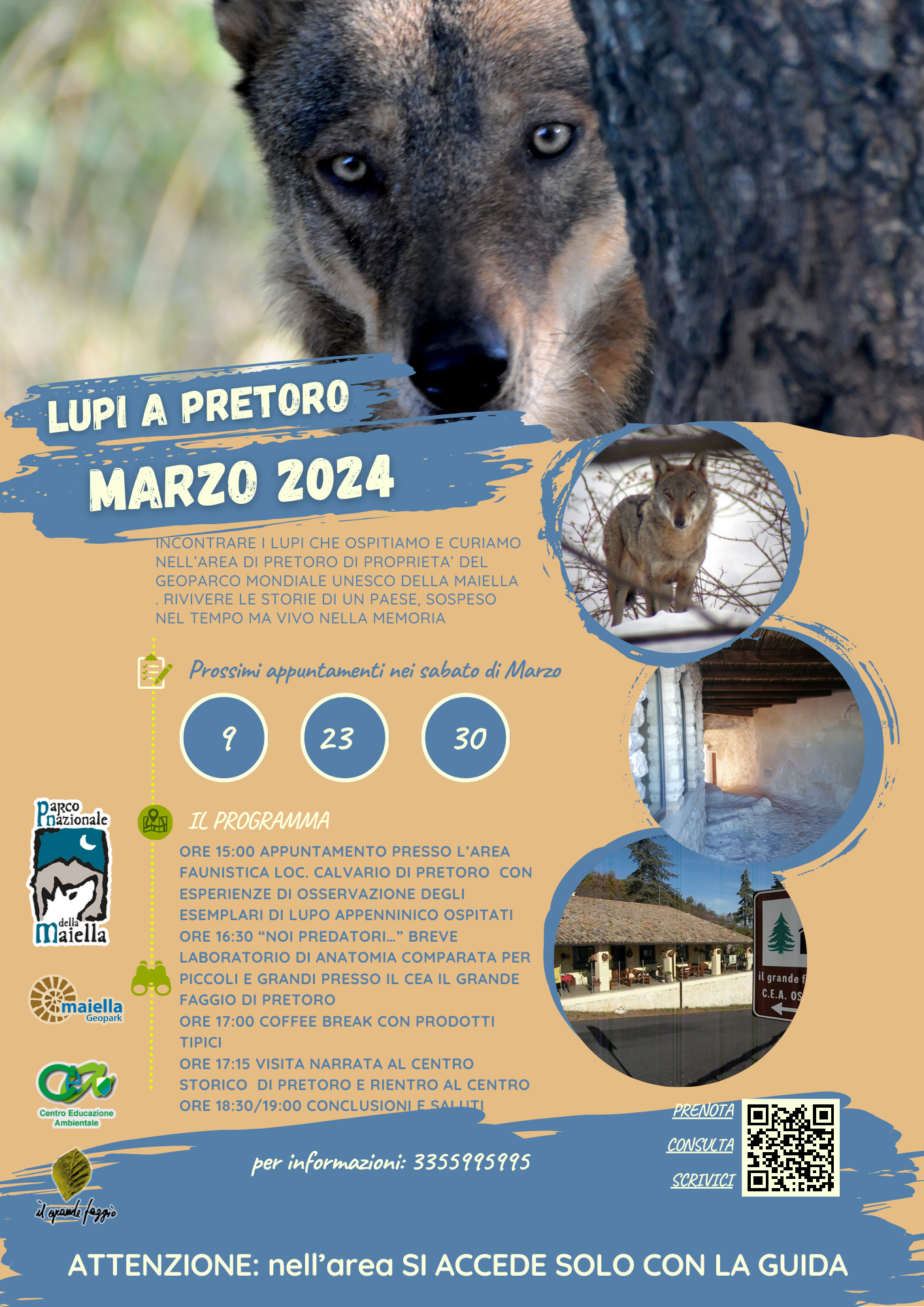 Lupi-a-Pretoro-nel-Geoparco-Mondiale-Unesco-della-Maiella-Marzo
